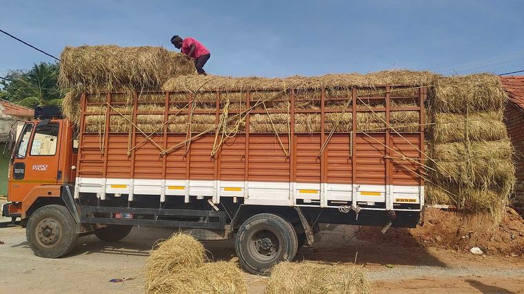 Monsoon miss, fodder crisis push Bangarapet farmers to brink