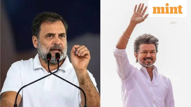 Rahul Gandhi or Vijay for PM: How Congress is pushing back against TVK’s 2029 ambitions