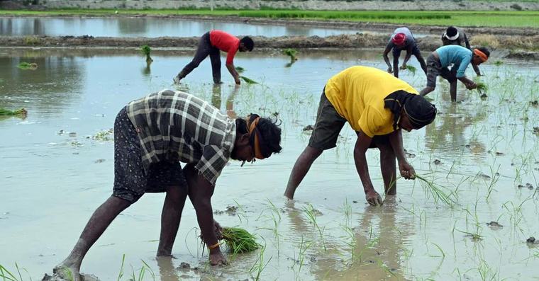 Households in India, Asia-Pacific regions vulnerable to El Nino shocks: S&P