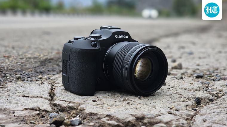 Want to capture wildlife in motion? These cameras make tracking birds and animals easier