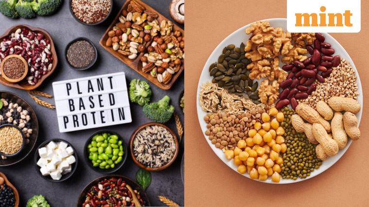 ₹9k-cr in 5 yrs: ‘Growing at 18% annually, outpacing global rates’ | How plant-based protein market is poised to grow