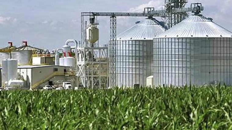 Govt should adopt flexible approach to ethanol-blended petrol programme: ICRIER paper