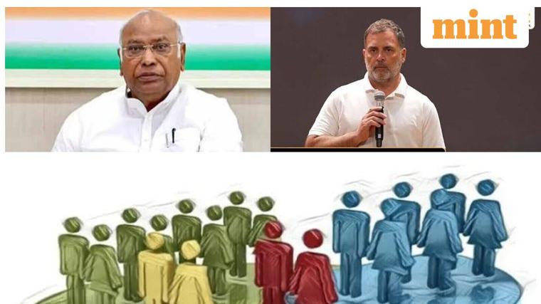 Explained: Why Rahul, Kharge want Census 2027 questionnaire scrapped and why question on caste is controversial