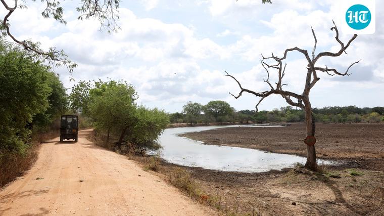 El Nino effect leaves over 115,000 in Sri Lanka facing drinking water shortage